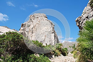 Boquer valley in Majorca