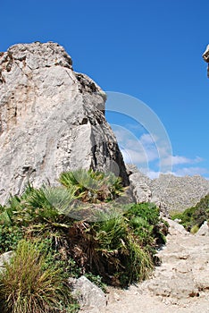 The Boquer valley, Majorca