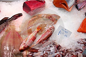 Boqueria fish