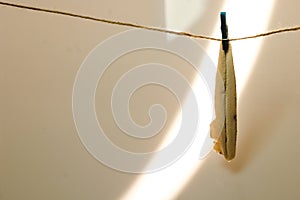 Boqueron in vinegar, typical appetizer photo