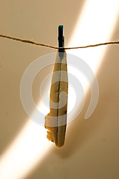 Boqueron in vinegar, typical appetizer photo