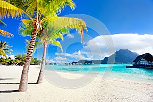 Bora Bora beach photo