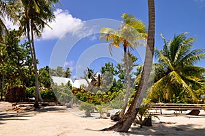 Bora Bora, french polynesia