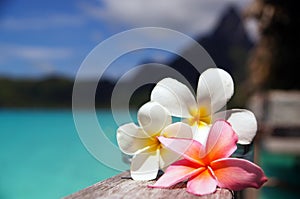 Bora Bora Getaway photo