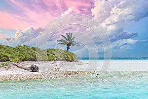 Bora Bora, paradise island beach palms, French Polynesia