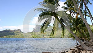 Bora Bora Tahiti photo