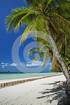 Boracay island tropical beach in philippines