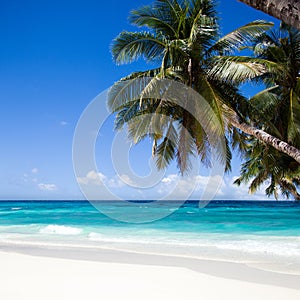 Boracay Island. White Beach. photo