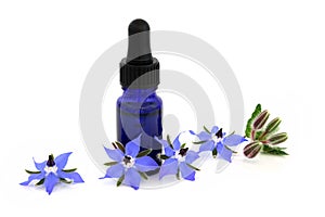 Borage Herb for Natural Alternative Remedy