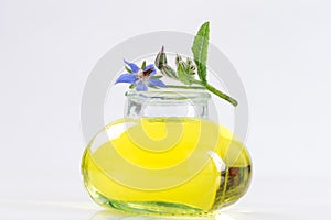 Borage oil, Borago Officinalis