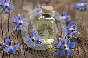 Borage oil Borago Officinalis