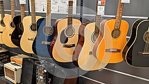 Guitar store many wooden Guitars classic in wall music shop showcase hanging for sale