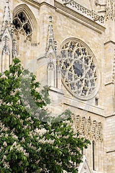 Bordeaux Cathedral