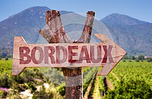 Bordeaux wooden sign with winery background photo