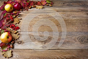 Border of apples, acorns, berries and fall leaves on the old woo