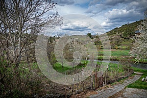 Border area between Spain and Portugal photo