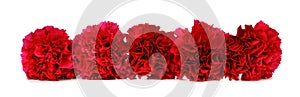 Border arrangement of red carnation flowers over white