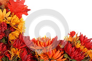 Border of autumn flowers