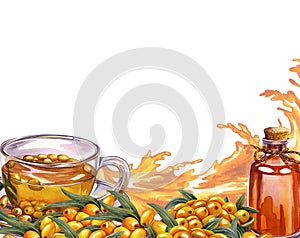 Border banner with painted sea buckthorn. Sea buckthorn oil, tea. Watercolor illustration, hand-drawn. For cosmetology