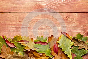 Border of bright autumn oak leaves on a wooden table, top view, place for text, flat lay, copy space