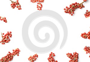 Border of Buffaloberry or Shepherdia, healthy food frame on white background