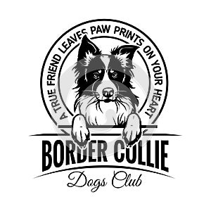 Border collie - badge, sticker, label, emblem. Element of design.