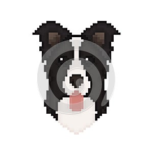 Border Collie dog head in pixel art style.
