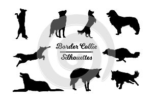 Border Collie dog silhouettes