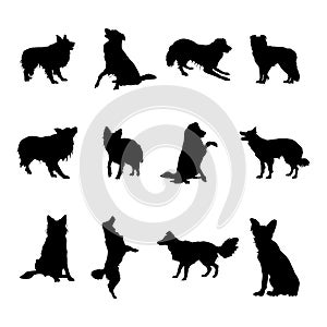 Border collie dog silhouettes, Border collie silhouette collection