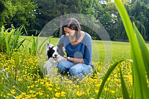 Border collie friendship