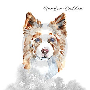 Border Collie. Portrait of a Dog. Cute puppy isolated on white background. Australian Shepherd. Hand drawn illustration.