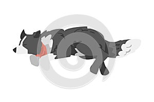 Border Collie Shepherd Pet Dog in Red Neckerchief Running and Jumping Cartoon Vector Illustration