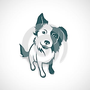 Border Collie - vector illustration photo