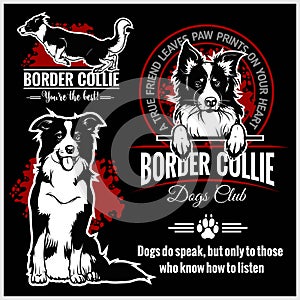 Border Collie - vector set for t-shirt, logo and template badges