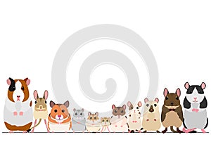 Border of cute pet rodents