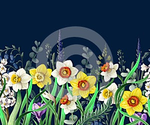 Border with daffodils and wild flowers. Vector.