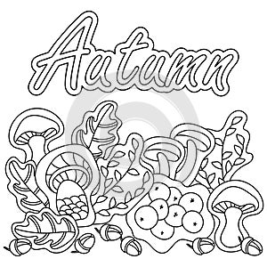 Border in doodle style. Autumn Black and white background. Coloring book pages Forest mushrooms, Acorns and oak leaves. Hand drawn