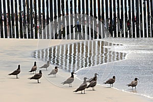 Border Field State Park Beach, CA, USA - July 30, 2023: The USA Mexico Border Wall near Friendship Park and Tijuana Beach