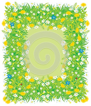 Border of flowers and grass