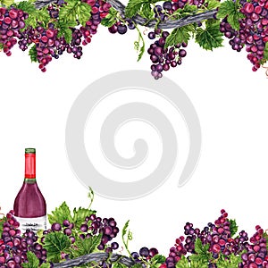 Border frame with bunches of grapes with green leaves, vine branches and a wine bottle. Hand drawn watercolor illustration