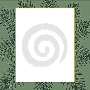 A border frame design decorated with floral tropical palm leaves with room for your message.