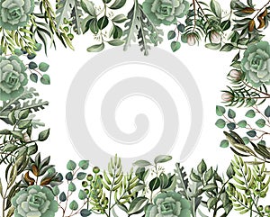 Border and frame with leaves and succulent in watercolor style. Eucalyptus, magnolia, fern and other vector illustration.