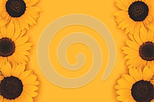 Border frame made of sunflowers on a yellow background.