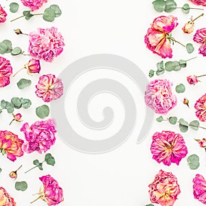 Border frame with pink roses and leaves isolated on white background, Flat lay, Top view