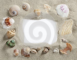 Border frame summer beach shell blank copy space