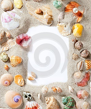 Border frame summer beach shell blank copy space