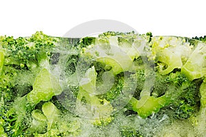 Border of fresh frozen green broccoli in ice closeup on white background.
