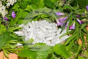 Border of fresh herbs with supplement capsules