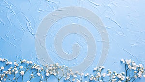 Border from fresh white gypsofila flowers on blue textured background photo
