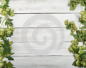 Border from green hop branches on white rustic wooden background. Concept of beer production. Mock up for beer presentation.